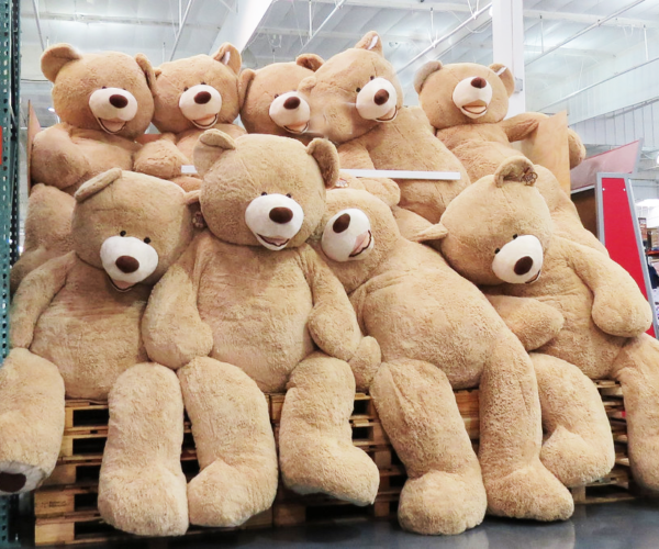 bear-warehouse